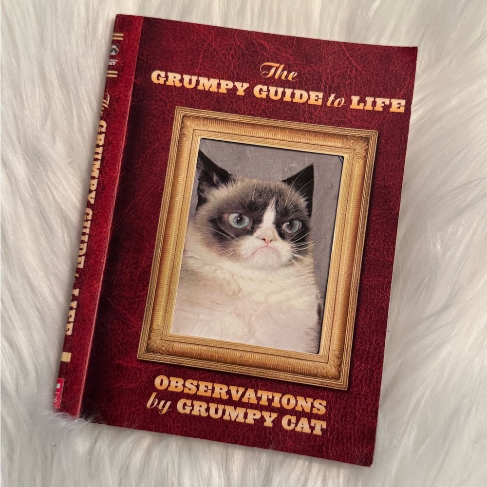 📚3 For $15📚 The Grumpy Guide To Life Grumpy Cat Book